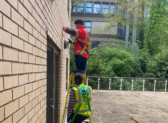 person carrying out inspection